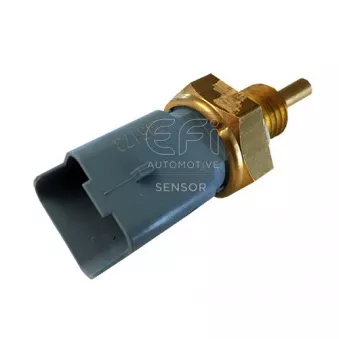 Sonde de température, liquide de refroidissement EFI AUTOMOTIVE 295173