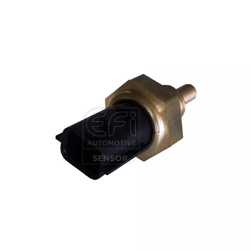 Sonde de température, liquide de refroidissement EFI AUTOMOTIVE 295180