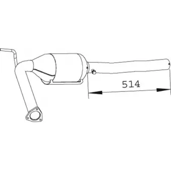 Catalyseur DINEX 74319