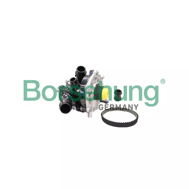 Kit pompe à eau Borsehung B11210