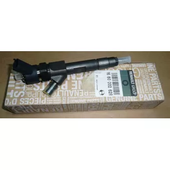 Injecteur OE 166000262R