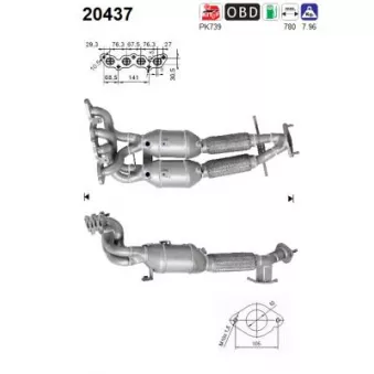 Catalyseur AS 20437