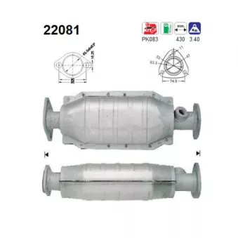 Catalyseur AS 22081