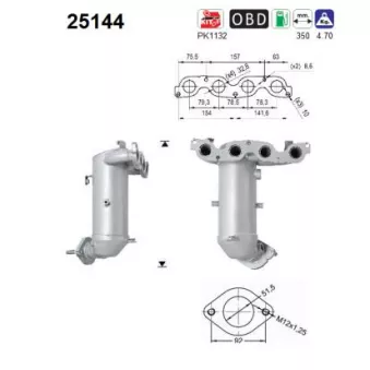 Catalyseur AS 25144