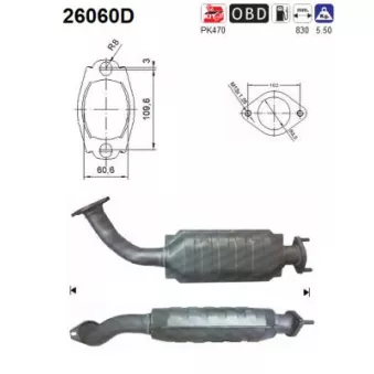 Catalyseur AS 26060D