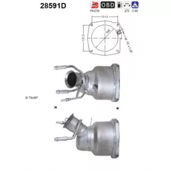 Catalyseur AS 28591D