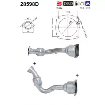 Catalyseur AS 28598D