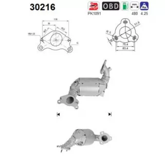 Catalyseur AS 30216