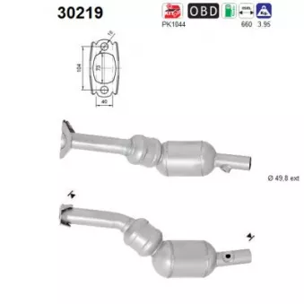 Catalyseur AS 30219