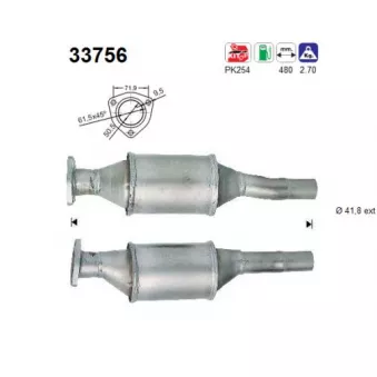 Catalyseur AS 33756