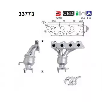 Catalyseur AS 33773