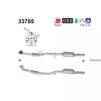 Catalyseur AS 33785