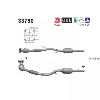 Catalyseur AS 33790