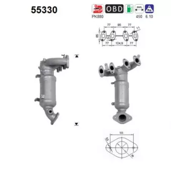 Catalyseur AS 55330