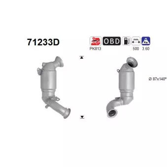 Catalyseur AS 71233D