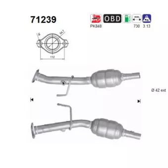 Catalyseur AS 71239