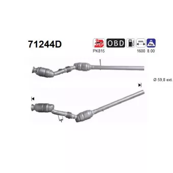 Catalyseur AS 71244D