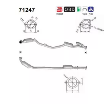 Catalyseur AS 71247