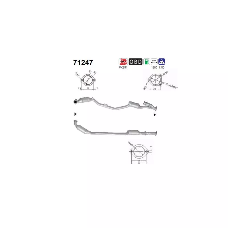 Catalyseur AS 71247