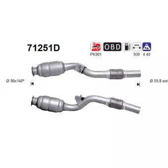 Catalyseur AS 71251D