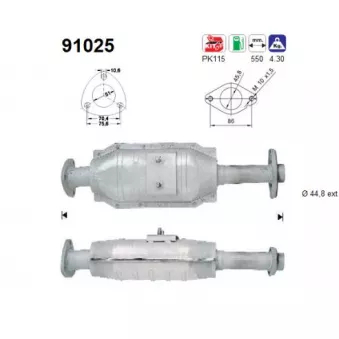 Catalyseur AS 91025