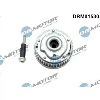 Dispositif de réglage électrique d'arbre à cames Dr.Motor DRM01530