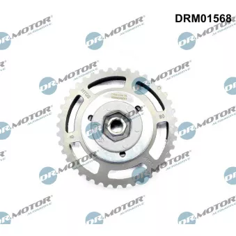 Pignon, pompe d'injection Dr.Motor DRM01568