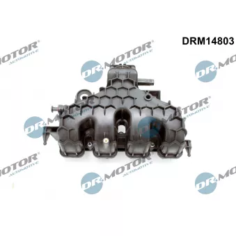 Module de tube d'admission Dr.Motor DRM14803