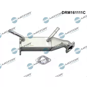 Radiateur, réaspiration des gaz d'échappement Dr.Motor DRM161111C