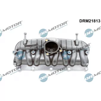 Module de tube d'admission Dr.Motor DRM21813