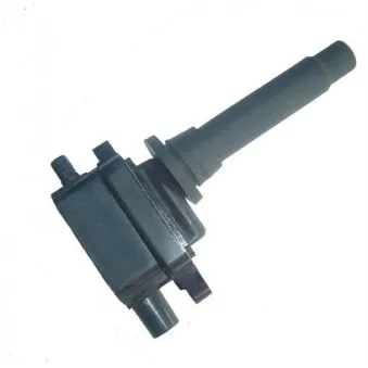 Bobine d'allumage MAGNETI MARELLI 060717112012