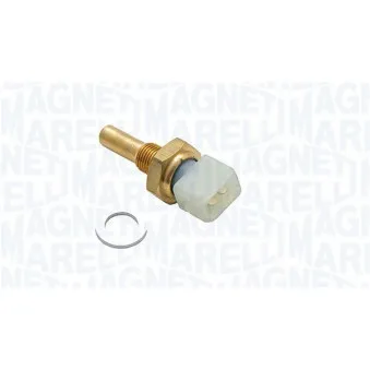 Sonde de température, liquide de refroidissement MAGNETI MARELLI 171916011430