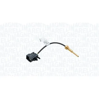 Sonde de température, liquide de refroidissement MAGNETI MARELLI 171916011480