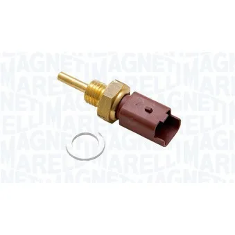 Sonde de température, liquide de refroidissement MAGNETI MARELLI 171916011560