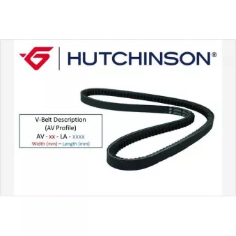 Courroie trapézoïdale HUTCHINSON AV10La1010TK