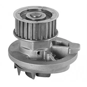 Pompe à eau MAGNETI MARELLI 352316170856