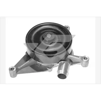 Pompe à eau HUTCHINSON WP301