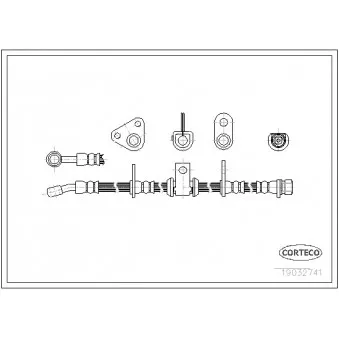 Flexible de frein avant droit CORTECO 19032741