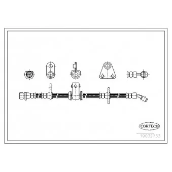 Flexible de frein avant droit CORTECO 19032753