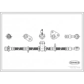 Flexible de frein avant droit CORTECO 19032769