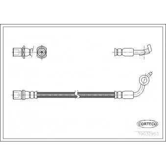 Flexible de frein avant droit CORTECO 19032953
