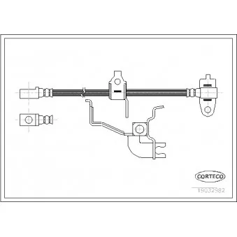 Flexible de frein avant droit CORTECO 19032982