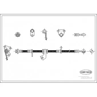 Flexible de frein avant gauche CORTECO 19033518