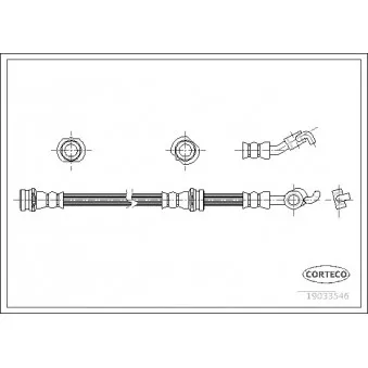 Flexible de frein avant droit CORTECO 19033546