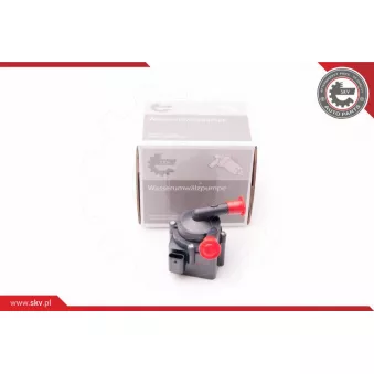 Pompe de circulation d'eau, chauffage auxiliaire ESEN SKV 22SKV017