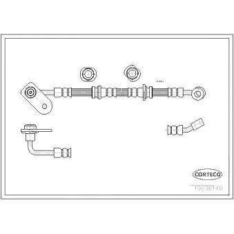 Flexible de frein CORTECO 19036140