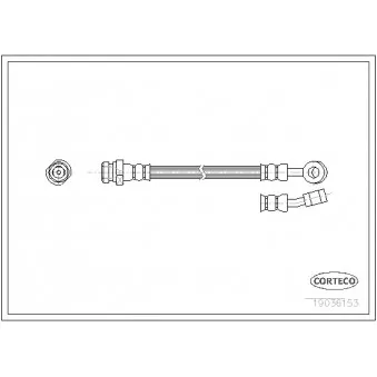 Flexible de frein CORTECO 19036153