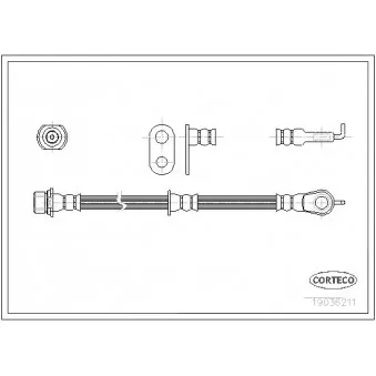 Flexible de frein avant droit CORTECO 19036211