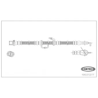 Flexible de frein avant droit CORTECO 19037277