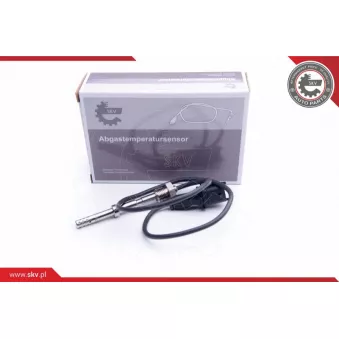 Capteur, température des gaz ESEN SKV 30SKV193